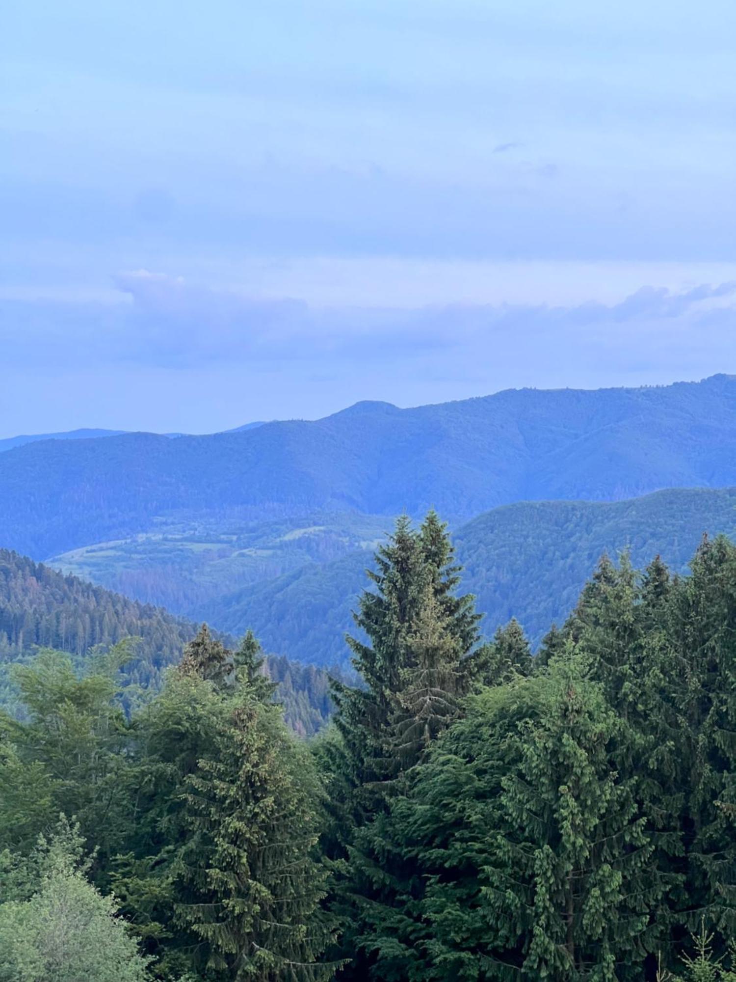 Садиба Between Mountains Mizhhirya  Exterior foto