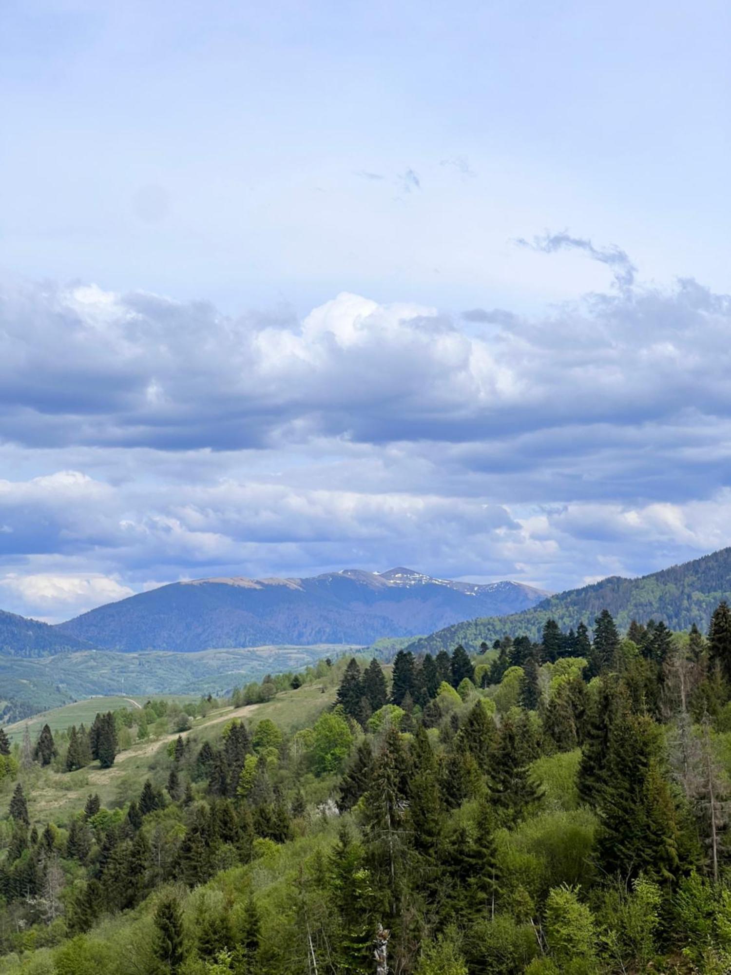 Садиба Between Mountains Mizhhirya  Exterior foto
